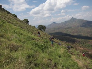 Porters on the flanks of Mt Namuli. Photo by Majka Burhardt